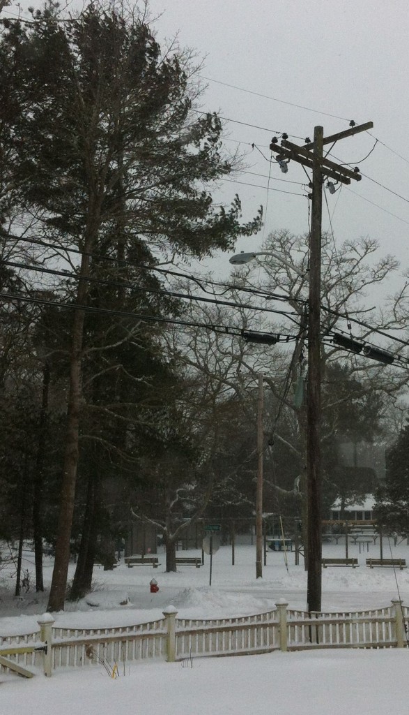 Powerlines and snowfall in New England